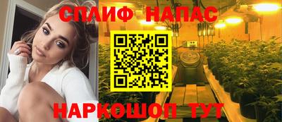 крисы Малгобек