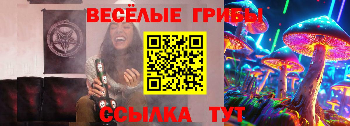 Галлюциногенные грибы MAGIC MUSHROOMS Домодедово
