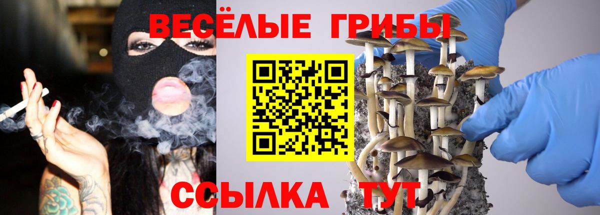 Домодедово  Галлюциногенные грибы Psilocybine cubensis  Галлюциногенные грибы ЛСД  Вход с VPN 